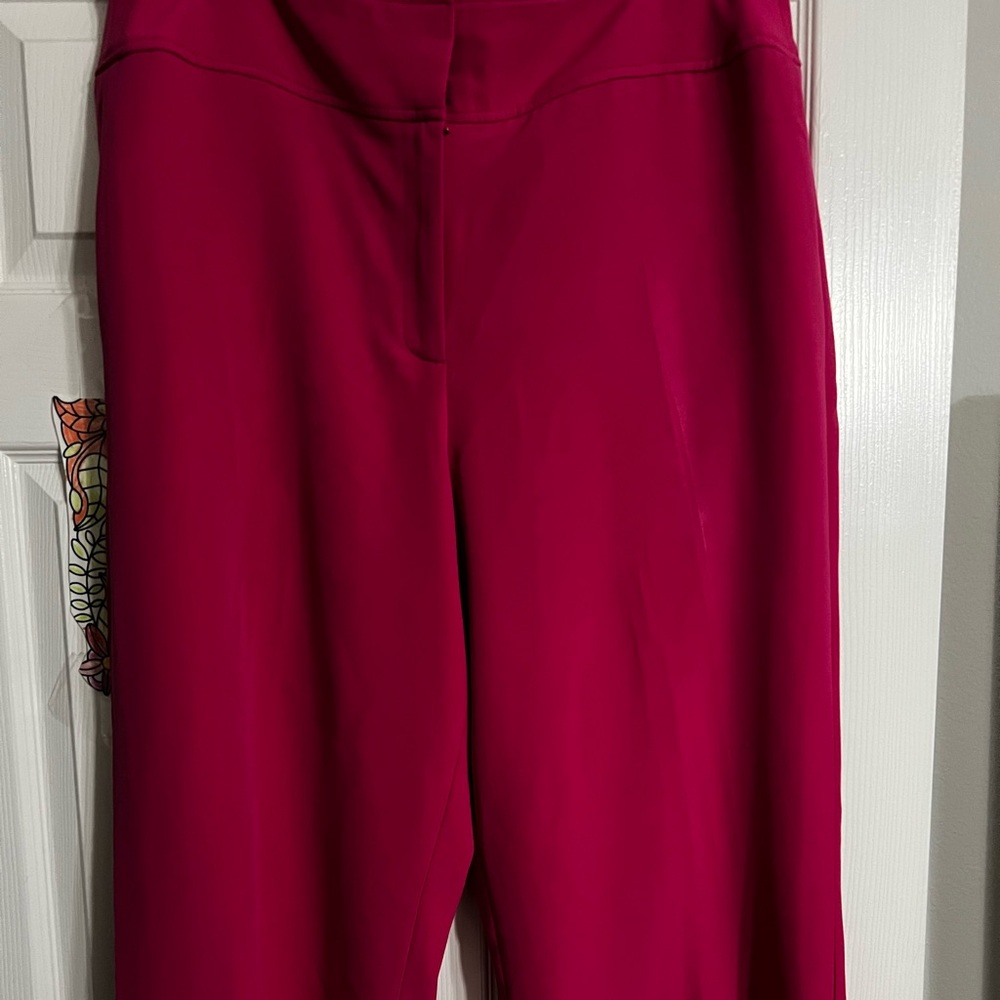 Lane Bryant Allie alacks, great shape, worn a few times. Size 24 tailored.